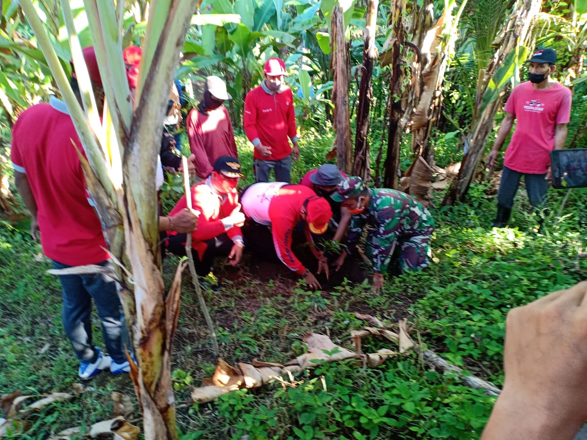 kodim jembrana juli 5 Kodim Jembrana Gelar Karya Bakti Reboisasi Penghijauan di Desa Manistutu/fajarbadung.com