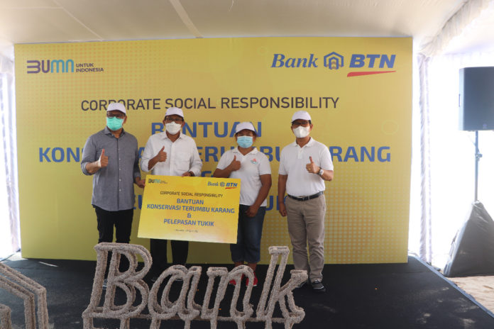 Sekda terumbu karang (9)