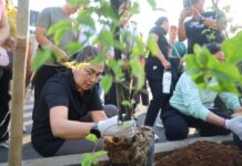 TP. PKK Badung Perindah Ruas Jalan Kerobokan dengan Penanaman 150 Pohon Bugenvil