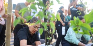 TP. PKK Badung Perindah Ruas Jalan Kerobokan dengan Penanaman 150 Pohon Bugenvil