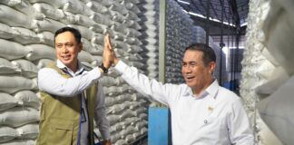 BULOG Cetak Rekor Sepanjang Sejarah, Stok Beras Tembus 5 Juta Ton