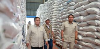 Stok Beras di Bulog Aman, Presiden Prabowo Nyatakan Negara Hadir Penuhi Kebutuhan Dasar Rakyat