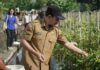 Jaga Stabilitas Harga Jelang Idul Adha. Galungan dan Kuningan TPID Badung Tinjau Sejumlah Sentra Pangan