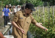 Jaga Stabilitas Harga Jelang Idul Adha. Galungan dan Kuningan TPID Badung Tinjau Sejumlah Sentra Pangan