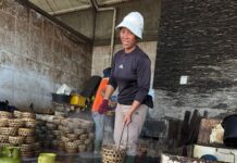 KUR BRI Dongkrak Usaha Pemindangan di Kusamba, Produksi Tembus 300 Keranjang per Hari