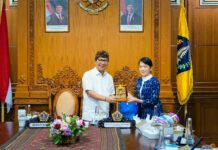 Perkuat Sektor Pesisir dan Wisata, Badung Jajaki Perluasan Kerja Sama dengan Kota Fujisawa Jepang