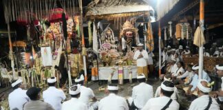 Bupati Adi Arnawa Hadiri Karya Piodalan Jelih, Metatah, Mepetik dan Mewinten di Pura Arya Wang Bang Pinatih