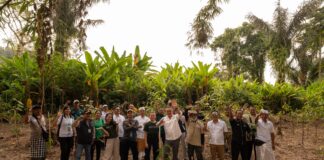 Nuanu dan Bali Tourism Board Dukung Reforestasi Batukaru dengan Pendanaan Pemeliharaan Selama Satu Tahun