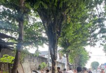 Pemkab Badung Tertibkan Sejumlah Warung Kumuh di Jalan Gatot Subroto Barat