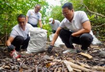 World Cleanup Day 2026, Pemkab Badung Gelar Aksi Bersih Lingkungan di Kawasan Mangrove