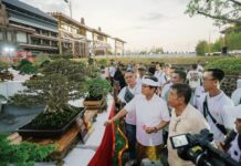Padukan Seni dan Kelestarian Alam, Pemkab Badung dan PPBI Sukses Gelar Kontes Bonsai Skala Nasional