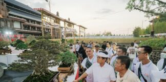 Padukan Seni dan Kelestarian Alam, Pemkab Badung dan PPBI Sukses Gelar Kontes Bonsai Skala Nasional
