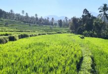 Padukan Potensi Alam dan Sejarah, Desa Bengkel Siap Terima Kunjungan Wisatawan