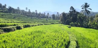 Padukan Potensi Alam dan Sejarah, Desa Bengkel Siap Terima Kunjungan Wisatawan